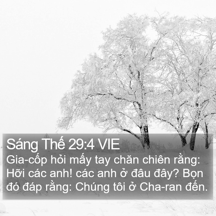 Sáng Thế 29:4 VIE Bible Study