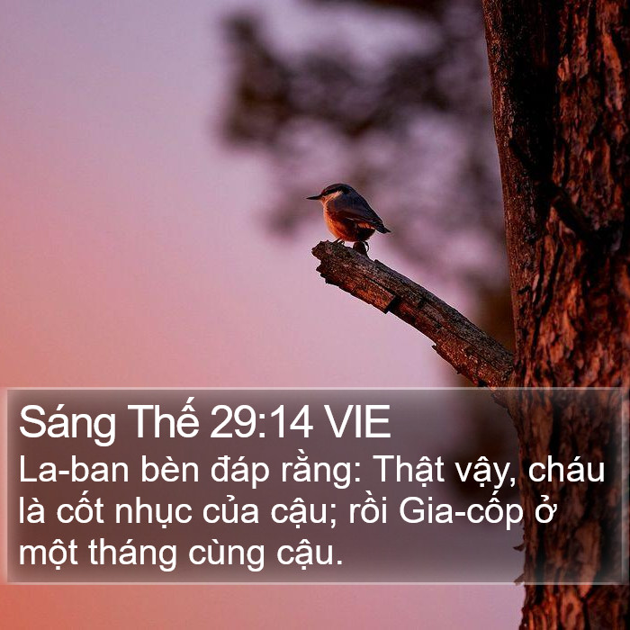 Sáng Thế 29:14 VIE Bible Study