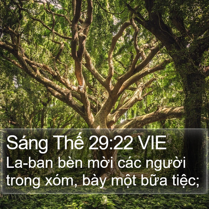 Sáng Thế 29:22 VIE Bible Study