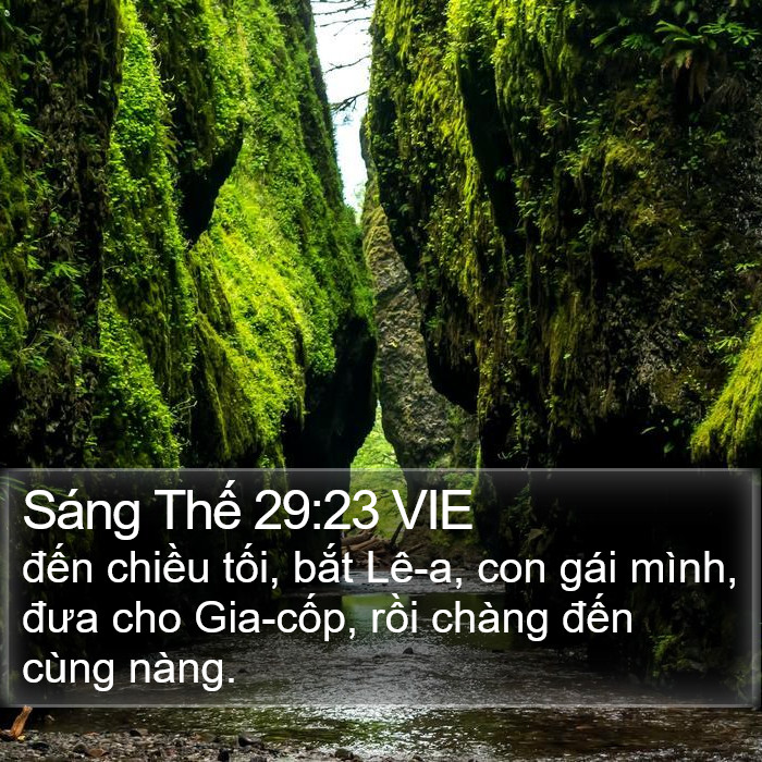 Sáng Thế 29:23 VIE Bible Study