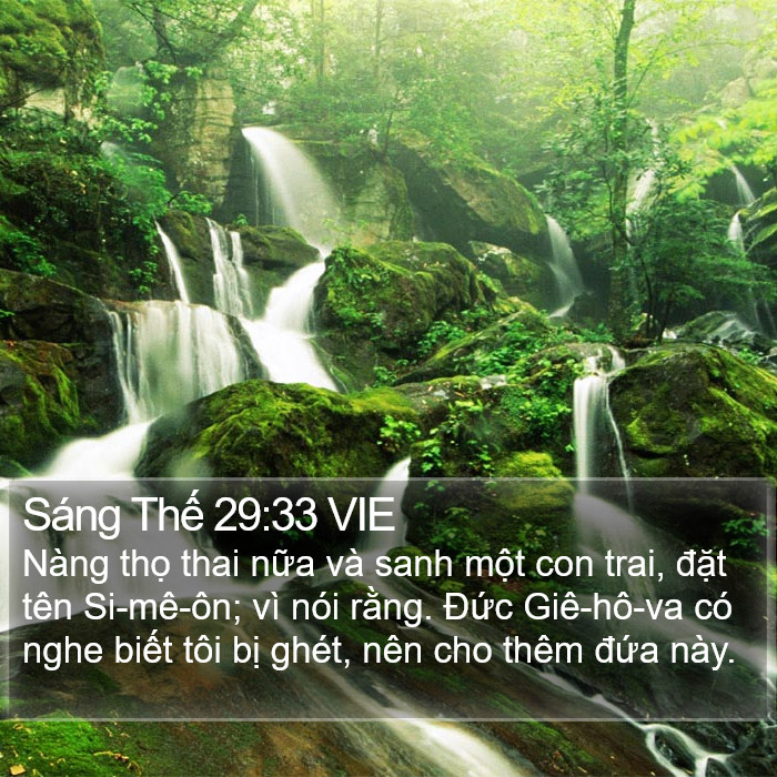 Sáng Thế 29:33 VIE Bible Study