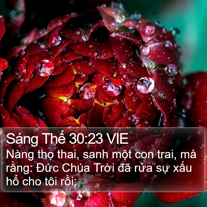 Sáng Thế 30:23 VIE Bible Study