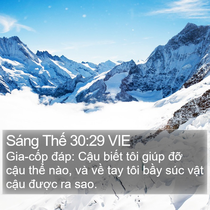 Sáng Thế 30:29 VIE Bible Study