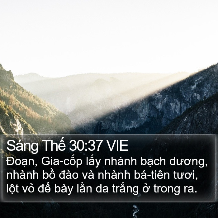 Sáng Thế 30:37 VIE Bible Study