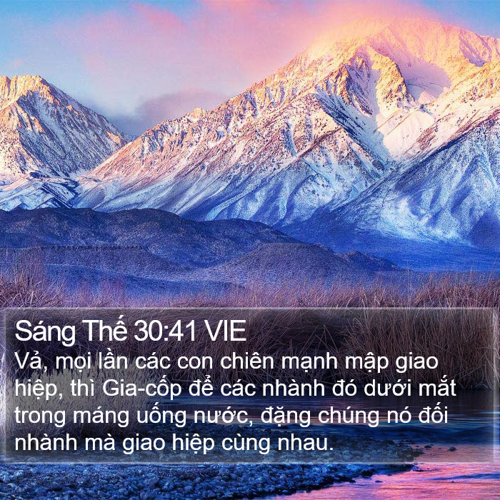 Sáng Thế 30:41 VIE Bible Study
