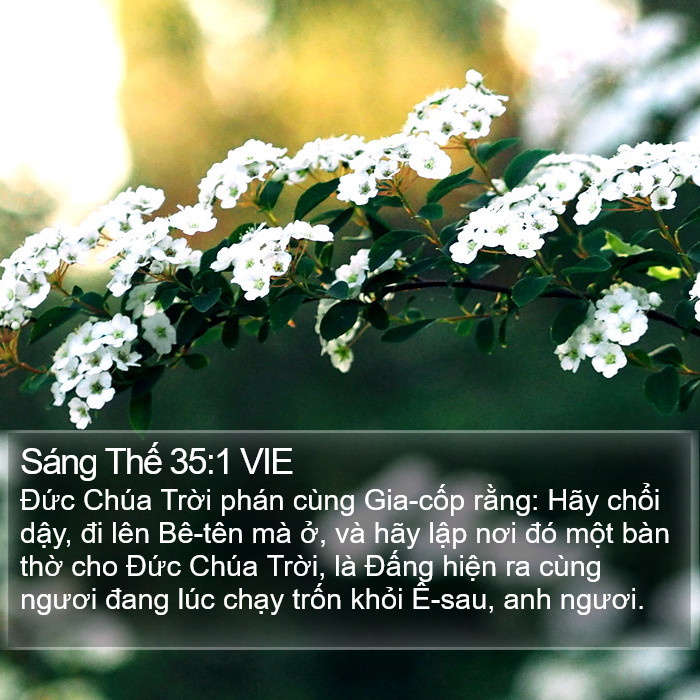 Sáng Thế 35:1 VIE Bible Study