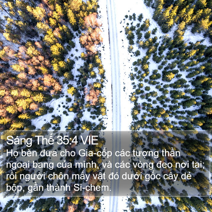 Sáng Thế 35:4 VIE Bible Study