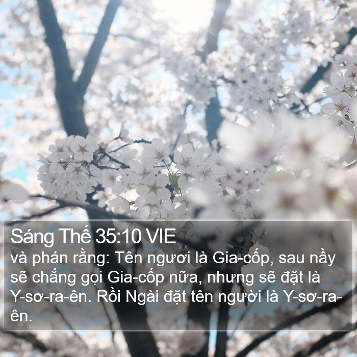 Sáng Thế 35:10 VIE Bible Study