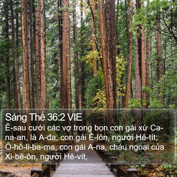 Sáng Thế 36:2 VIE Bible Study