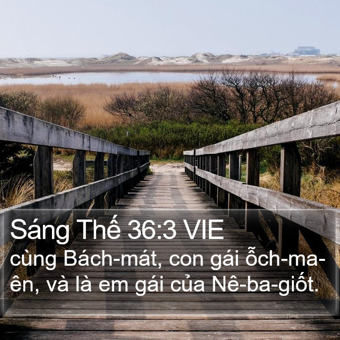Sáng Thế 36:3 VIE Bible Study