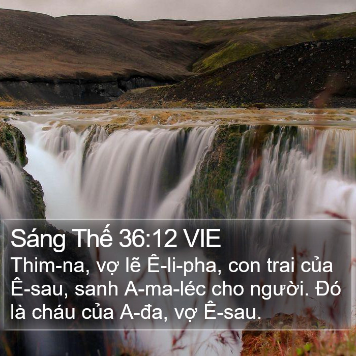 Sáng Thế 36:12 VIE Bible Study