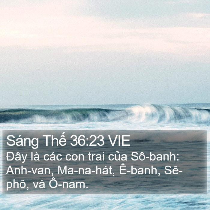 Sáng Thế 36:23 VIE Bible Study