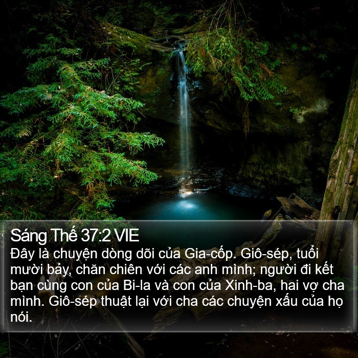 Sáng Thế 37:2 VIE Bible Study