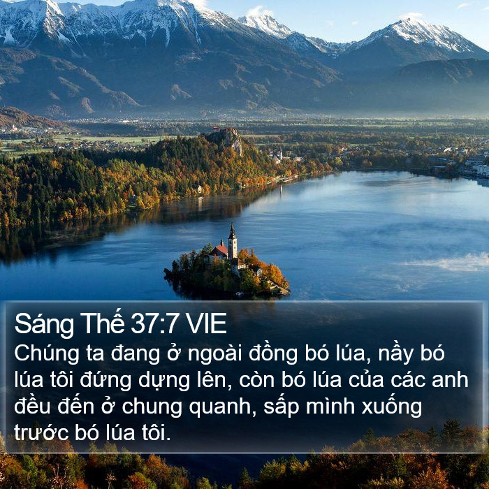 Sáng Thế 37:7 VIE Bible Study