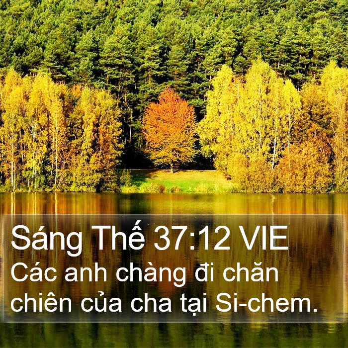 Sáng Thế 37:12 VIE Bible Study