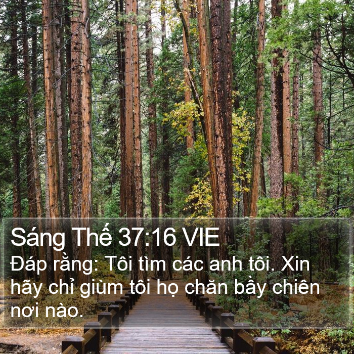 Sáng Thế 37:16 VIE Bible Study