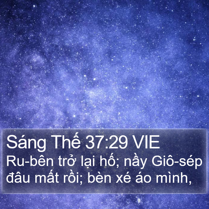 Sáng Thế 37:29 VIE Bible Study