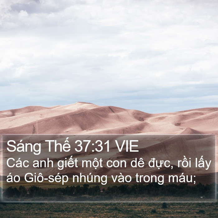 Sáng Thế 37:31 VIE Bible Study