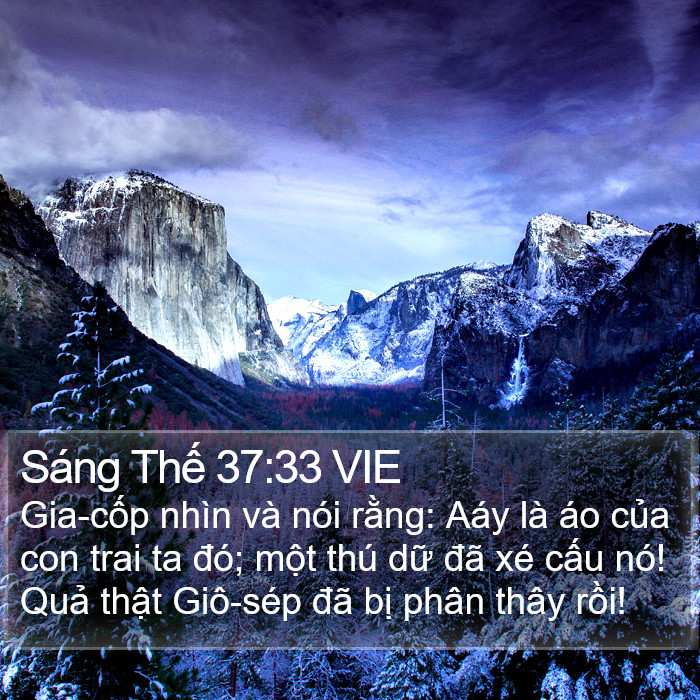 Sáng Thế 37:33 VIE Bible Study