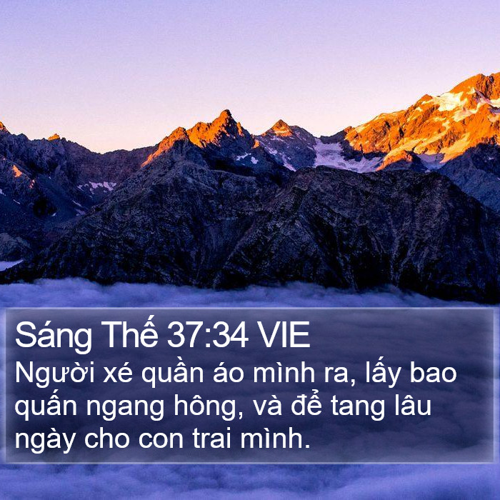 Sáng Thế 37:34 VIE Bible Study