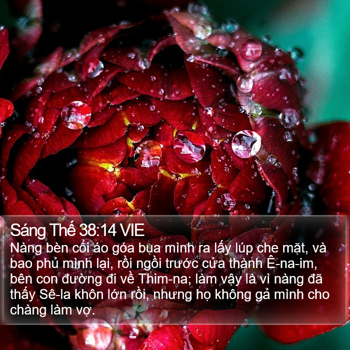 Sáng Thế 38:14 VIE Bible Study
