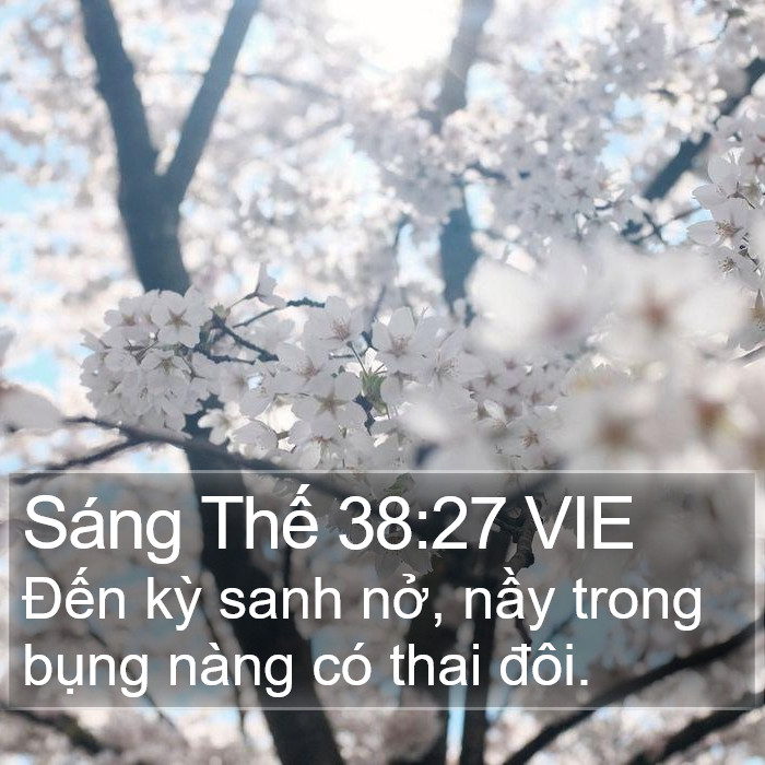 Sáng Thế 38:27 VIE Bible Study