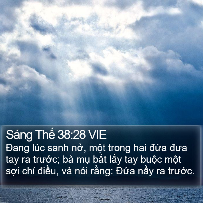 Sáng Thế 38:28 VIE Bible Study