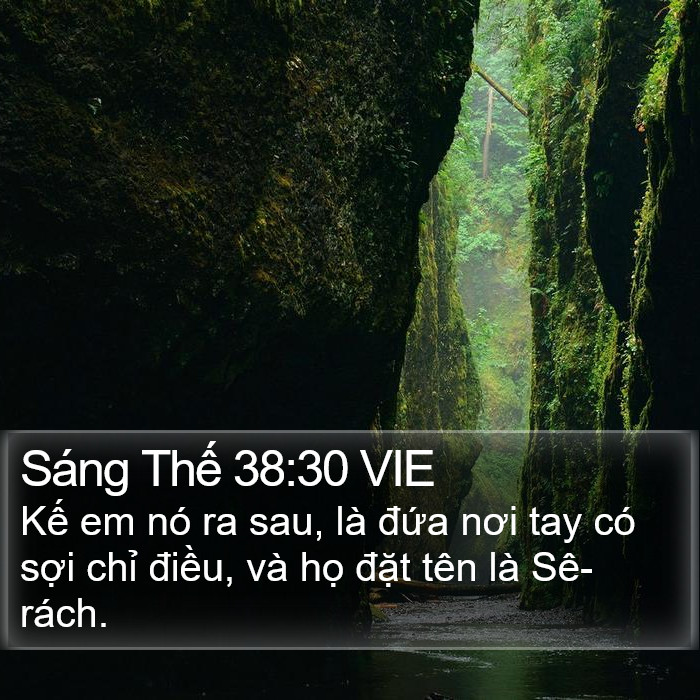 Sáng Thế 38:30 VIE Bible Study