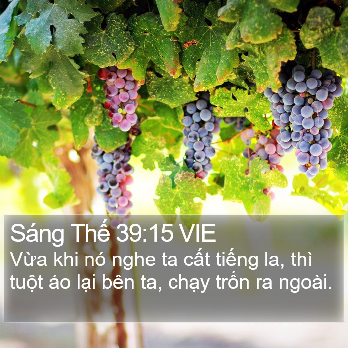 Sáng Thế 39:15 VIE Bible Study