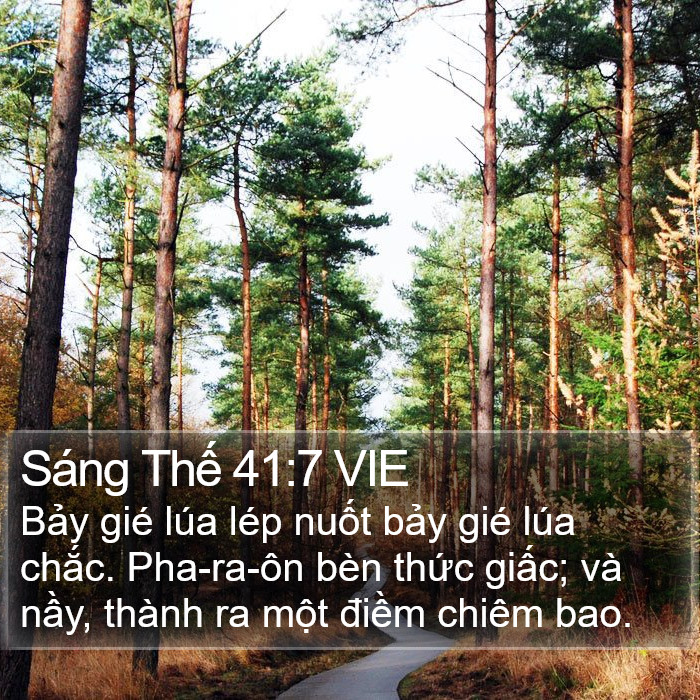 Sáng Thế 41:7 VIE Bible Study