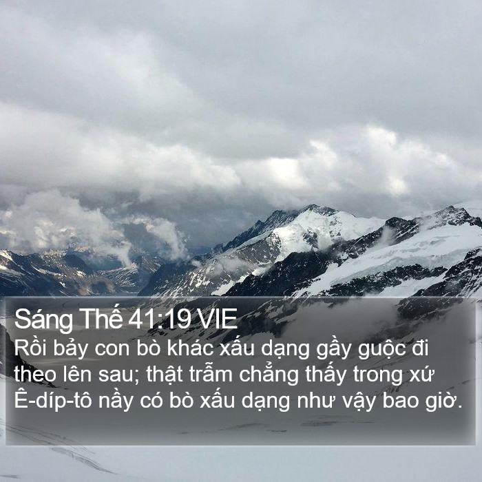 Sáng Thế 41:19 VIE Bible Study