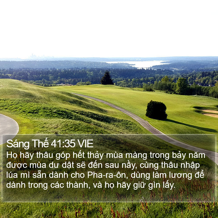 Sáng Thế 41:35 VIE Bible Study