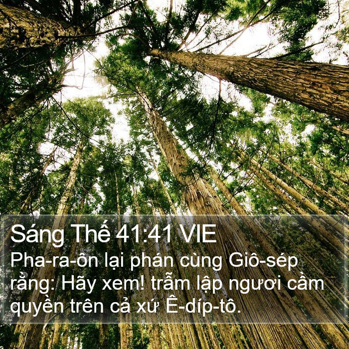 Sáng Thế 41:41 VIE Bible Study