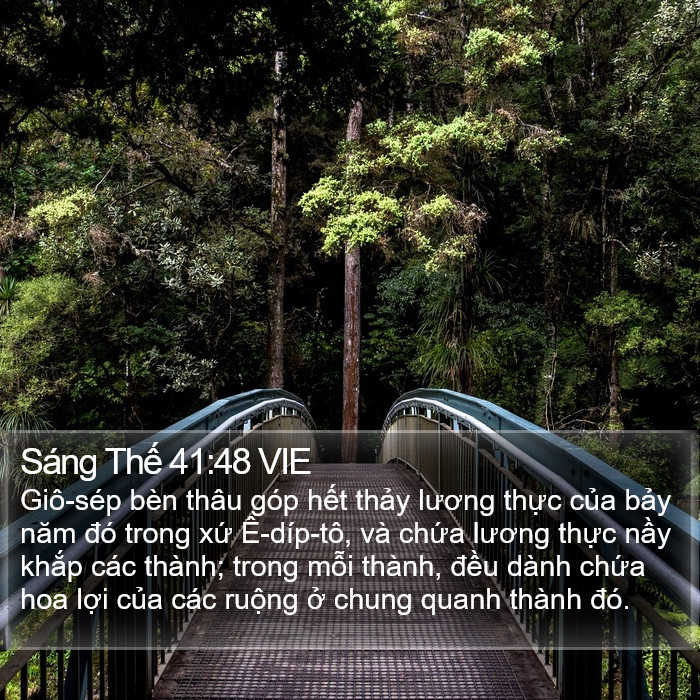 Sáng Thế 41:48 VIE Bible Study