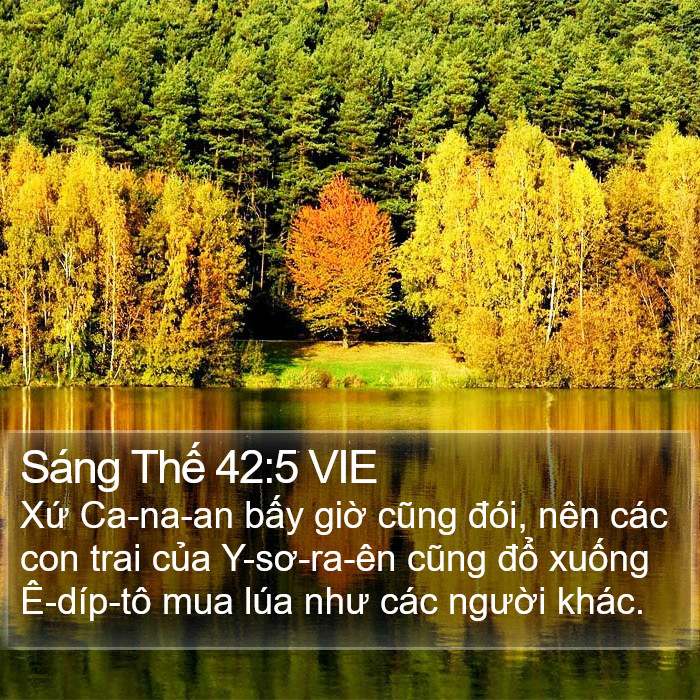 Sáng Thế 42:5 VIE Bible Study