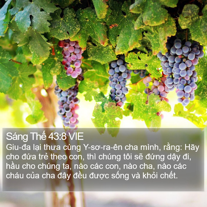 Sáng Thế 43:8 VIE Bible Study
