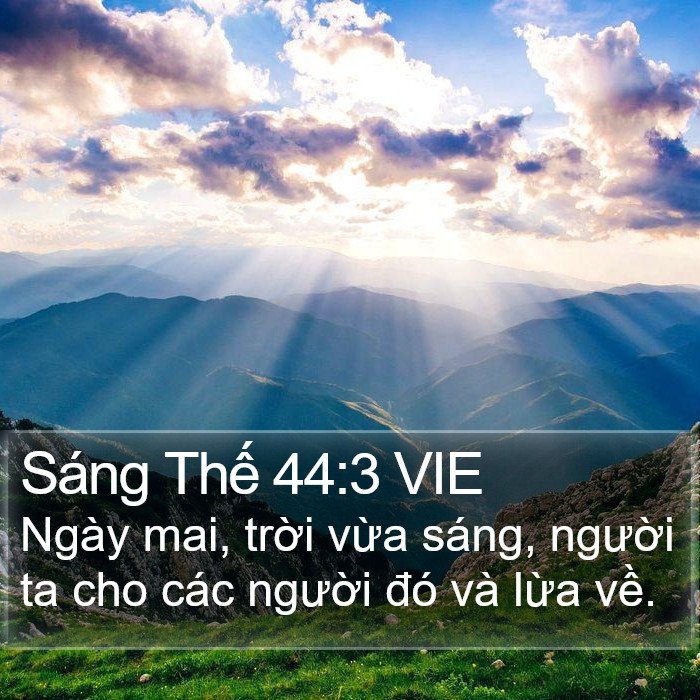 Sáng Thế 44:3 VIE Bible Study