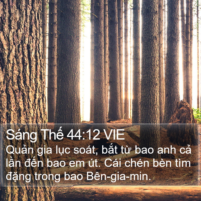 Sáng Thế 44:12 VIE Bible Study