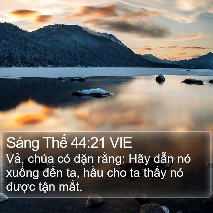 Sáng Thế 44:21 VIE Bible Study