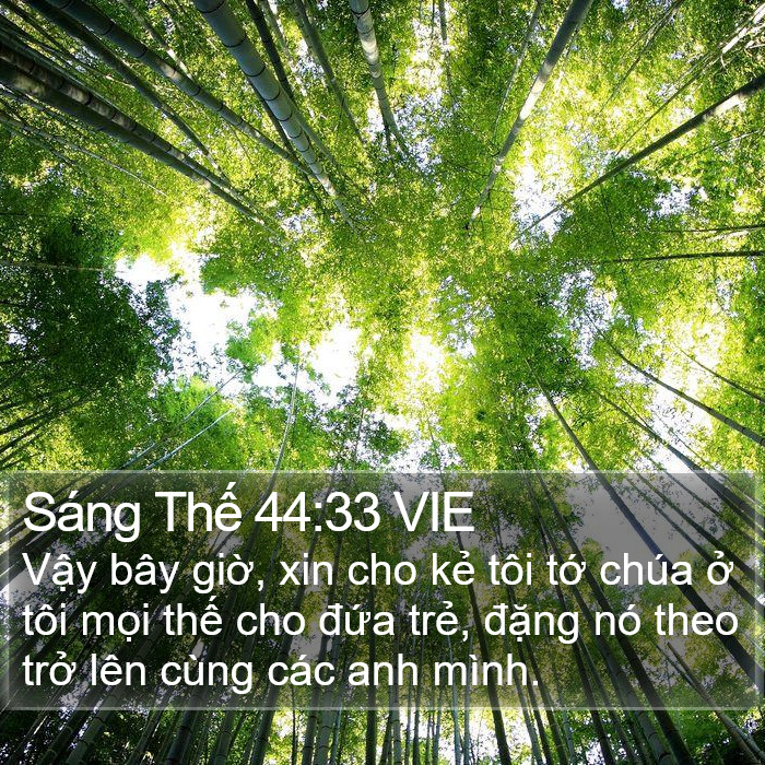 Sáng Thế 44:33 VIE Bible Study