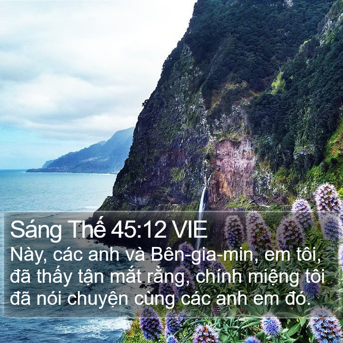 Sáng Thế 45:12 VIE Bible Study