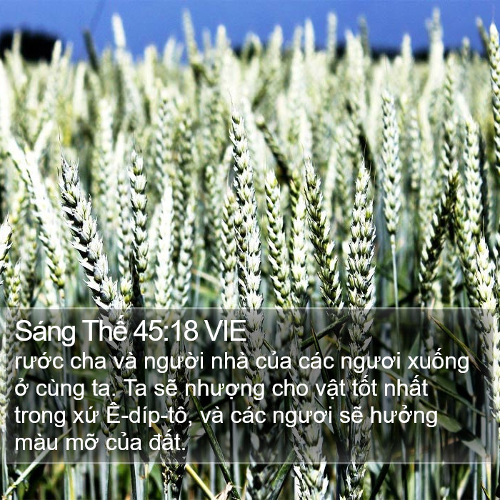 Sáng Thế 45:18 VIE Bible Study