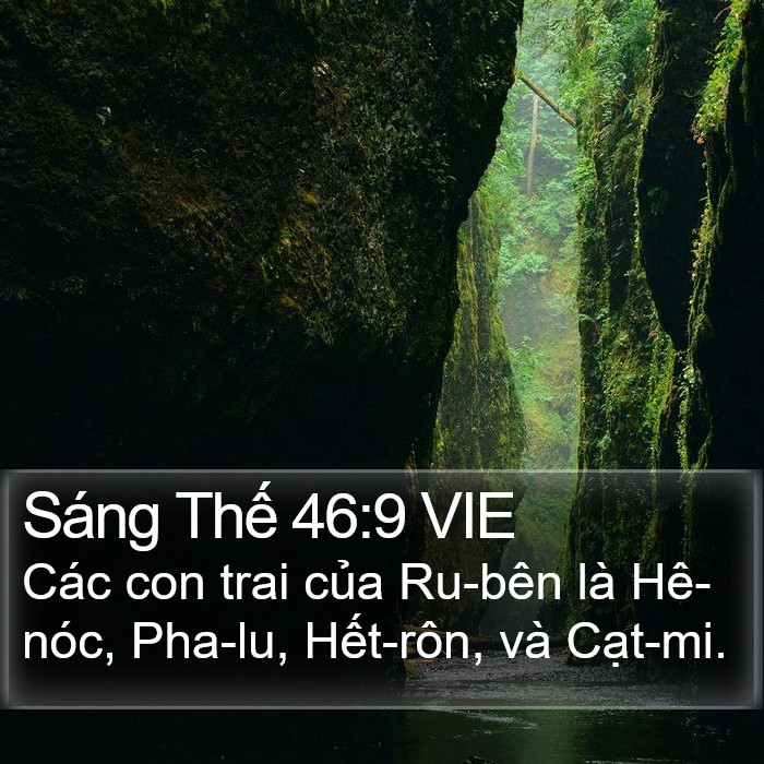 Sáng Thế 46:9 VIE Bible Study