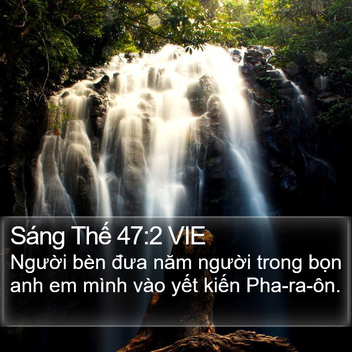 Sáng Thế 47:2 VIE Bible Study