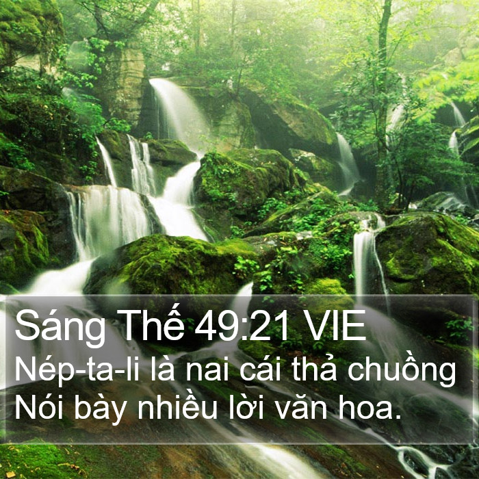 Sáng Thế 49:21 VIE Bible Study