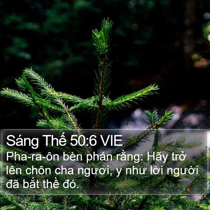 Sáng Thế 50:6 VIE Bible Study