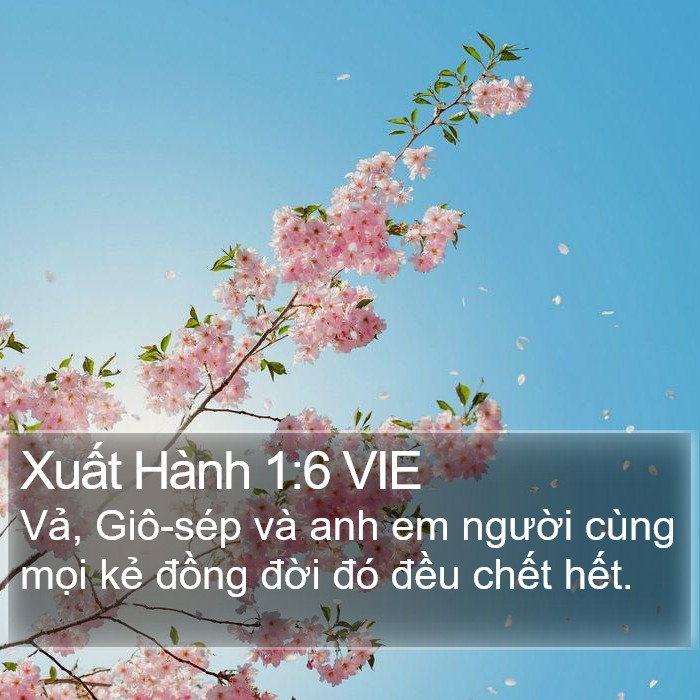 Xuất Hành 1:6 VIE Bible Study