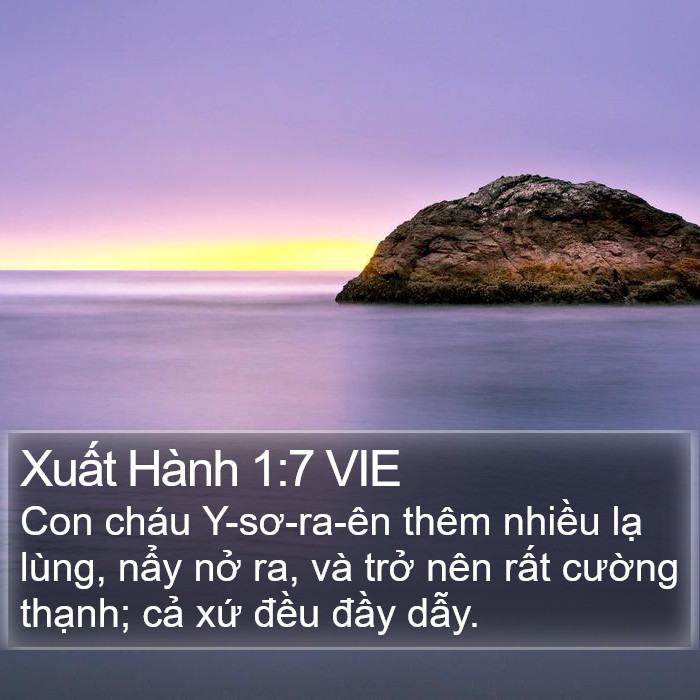 Xuất Hành 1:7 VIE Bible Study