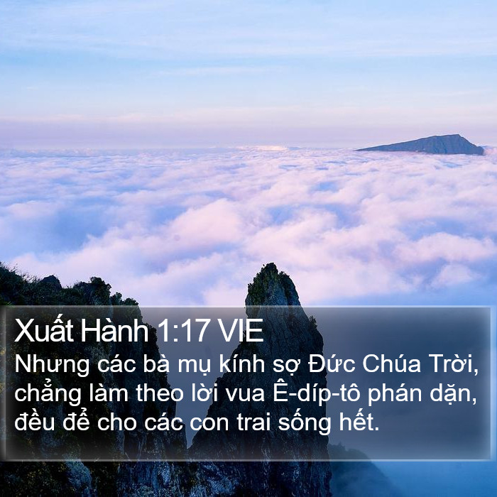 Xuất Hành 1:17 VIE Bible Study