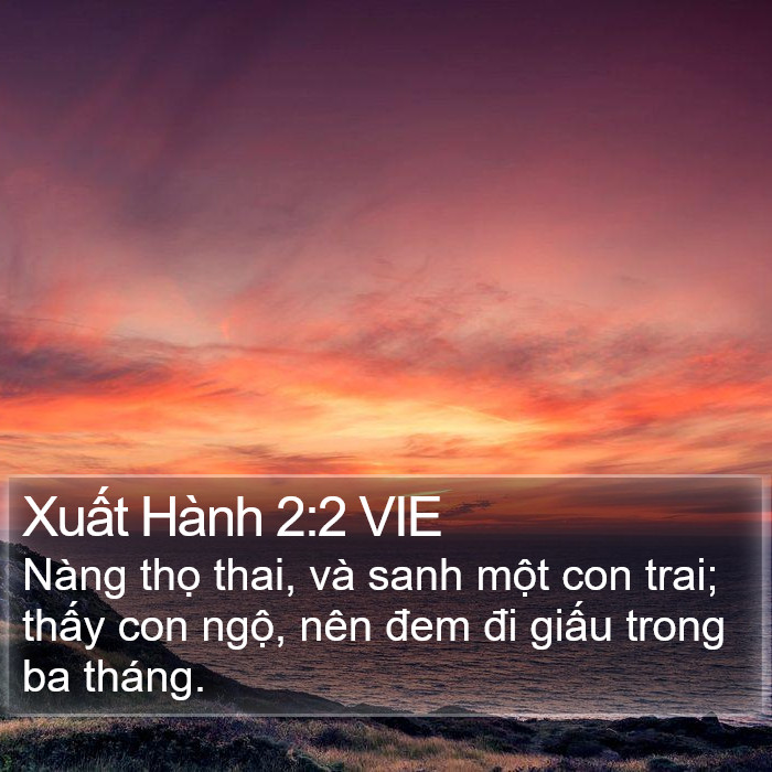 Xuất Hành 2:2 VIE Bible Study